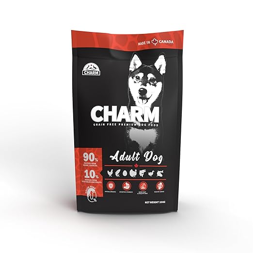 charm adult dog