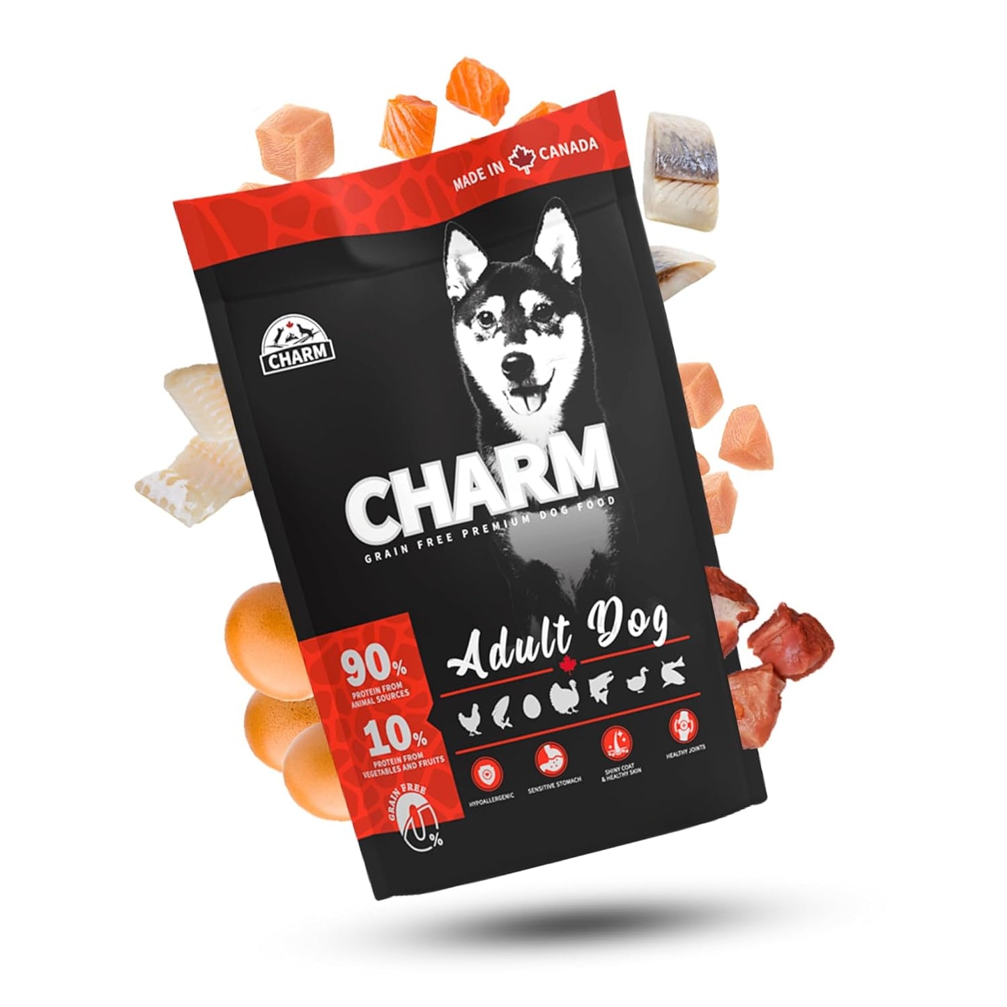 charm adult dog