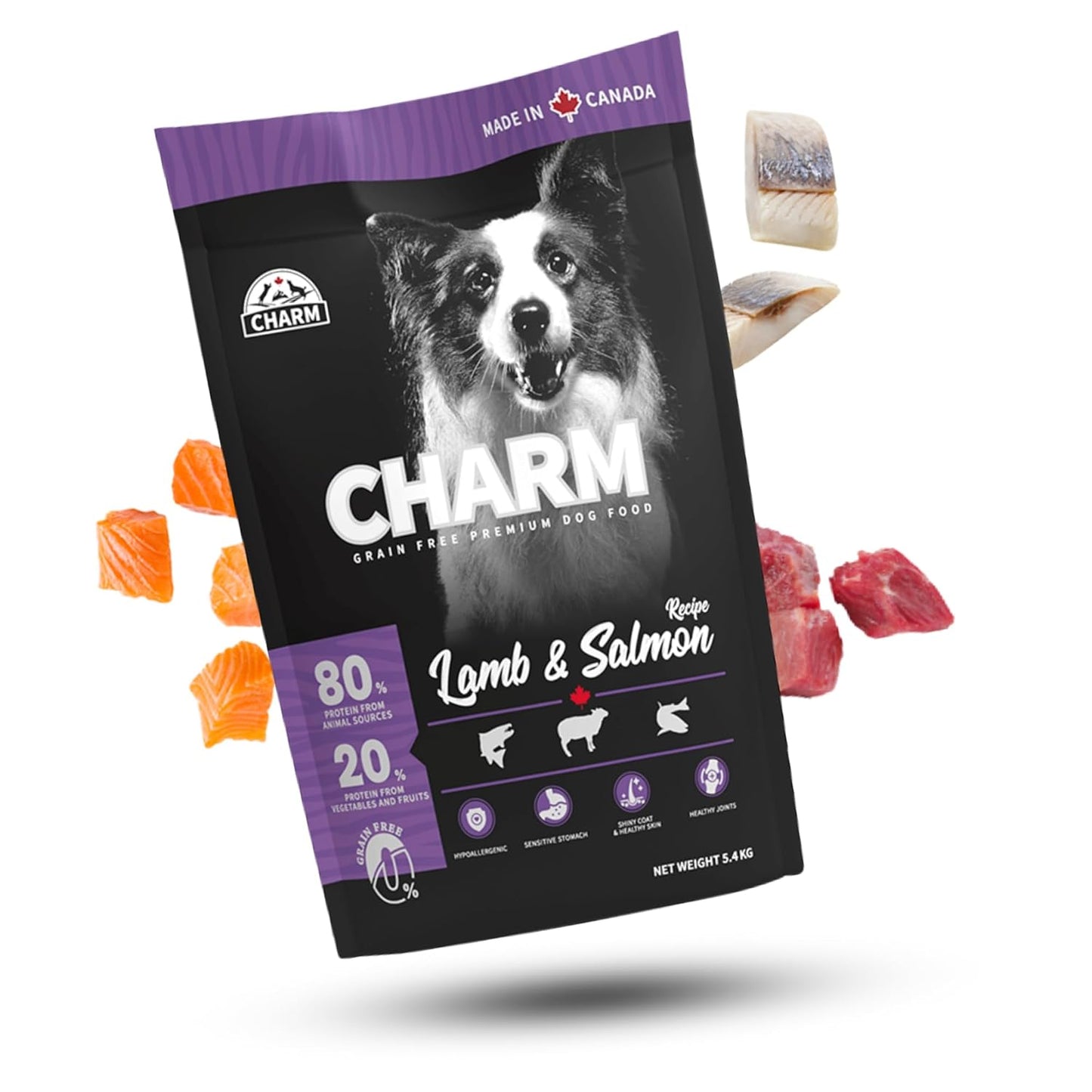 charm lamb & salmon dog