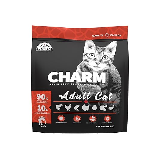 charm adult cat