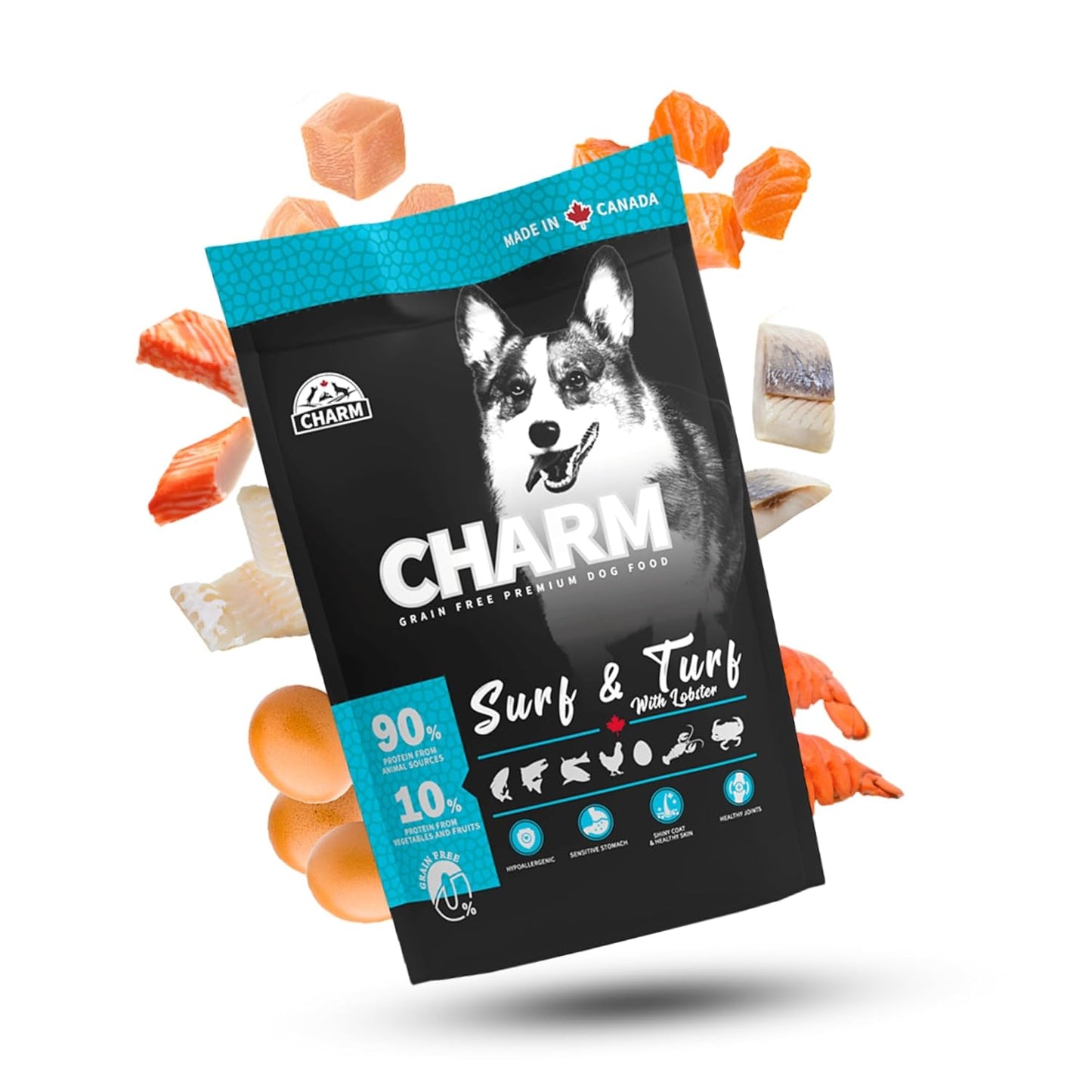 charm surf & turf dog