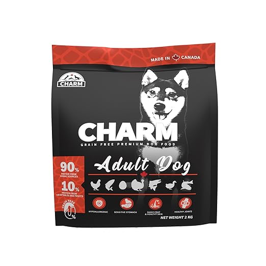 charm adult dog