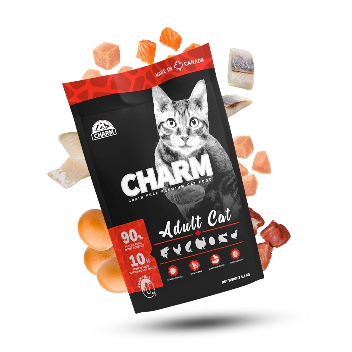 charm adult cat