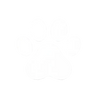 Milestone 1 icon